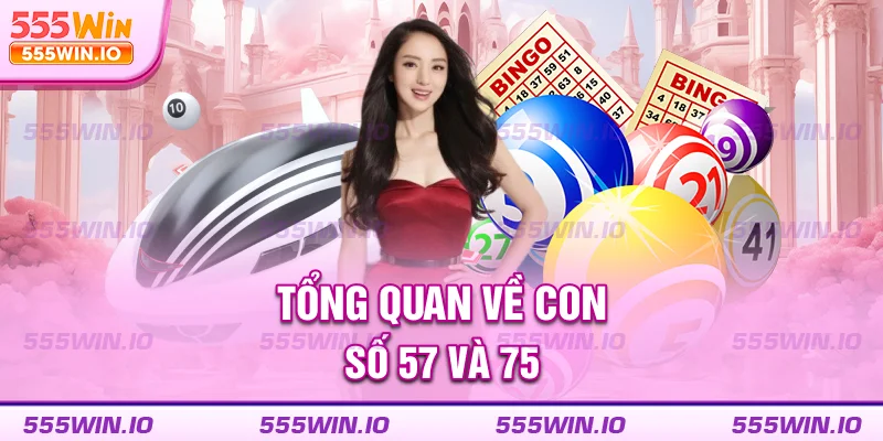Tổng quan về con số 57 và 75