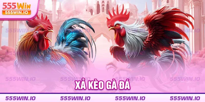 Xả kèo gà đá