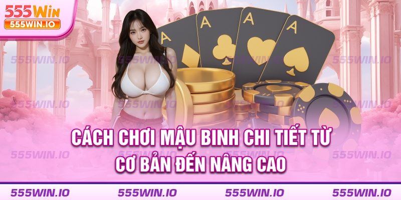 cach-choi-mau-binh-chi-tiet-tu-co-ban-den-nang-cao