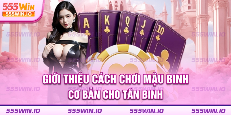 Giới thiệu cách chơi Mậu Binh cơ bản cho tân binh